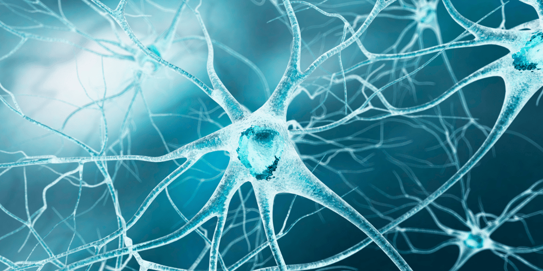 ALS Stem Cells Neurons Blog