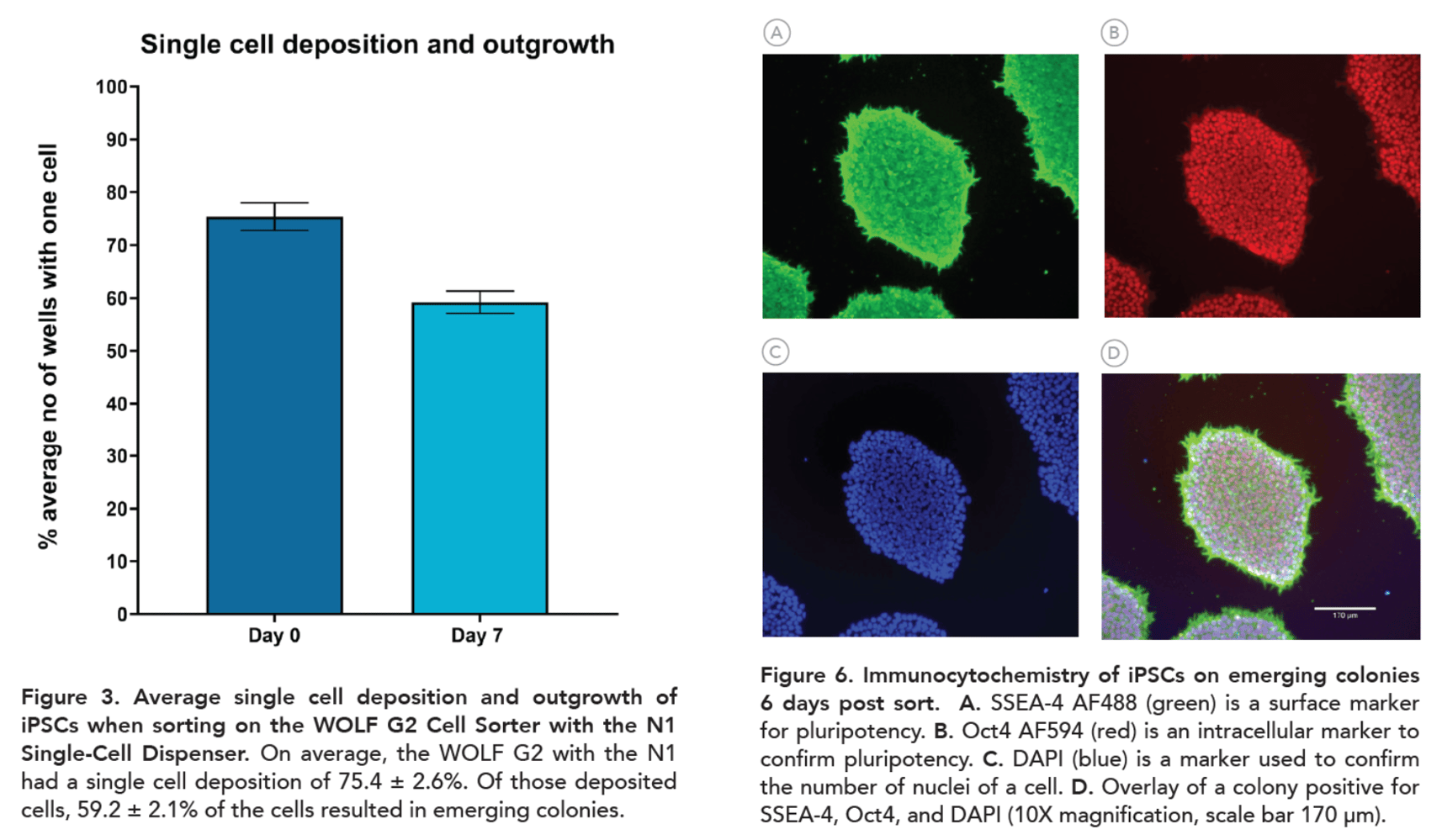 APN-042 Stem Cell Figure for emails (1800 x 1050 px)