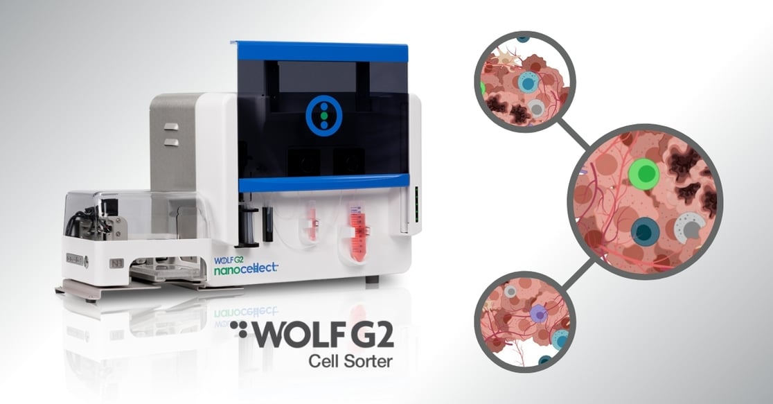 LinkedIn_Rectangle Post