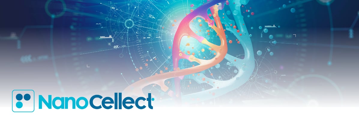 Email Headers (600 × 200 px)