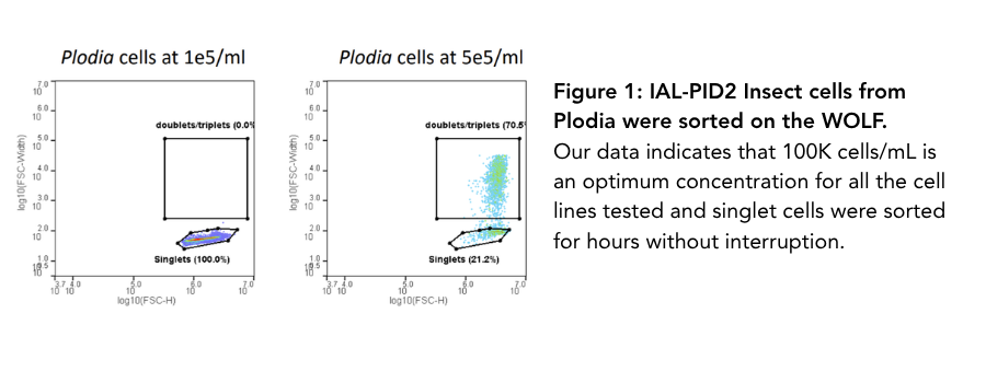 Insect Cells Sorting