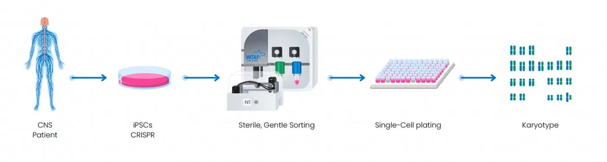 NC-Workflow - Gene Editing