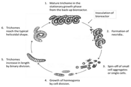 Distributor Newsletter (1)-Oct-13-2023-04-18-56-0680-PM