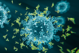 Distributor Newsletter-1