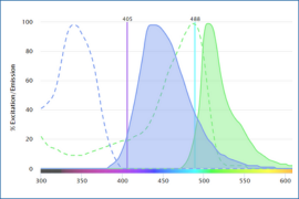 Distributor Newsletter-4