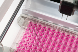 Distributor Newsletter-Aug-14-2023-08-45-17-0525-PM