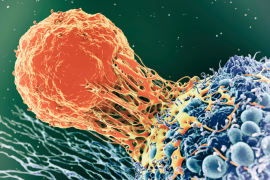 Distributor Newsletter-Jul-07-2023-07-29-57-0655-PM