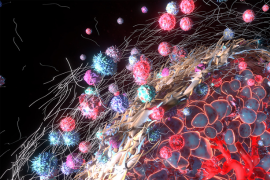 Distributor Newsletter-May-10-2023-04-40-17-6344-PM