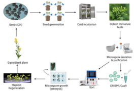 Distributor Newsletter-Oct-13-2023-04-18-49-0339-PM