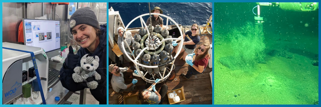 Email Campaign Images (600 × 200 px) (2)-Jun-20-2024-06-45-37-3223-PM