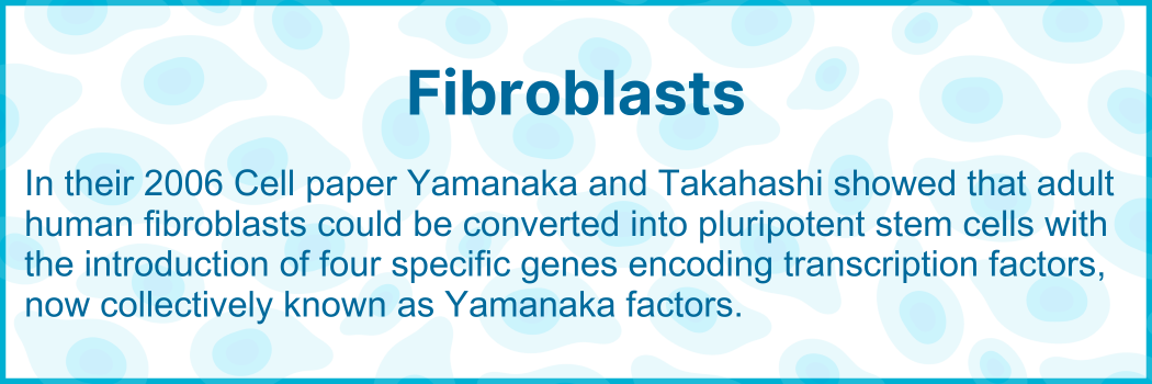 Email Campaign Images (600 × 200 px) (5)-1