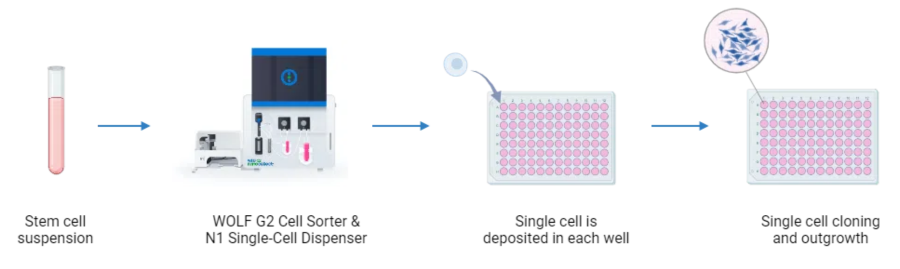 Email Campaign Images (600 × 200 px)-Apr-17-2024-02-25-46-9120-AM