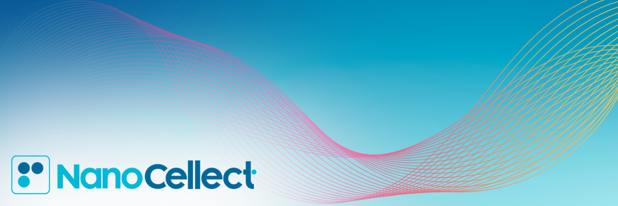 Email Headers (600 × 200 px) (2)-4