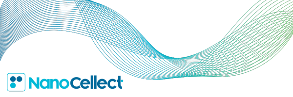 Email Headers (600 × 200 px) (4)