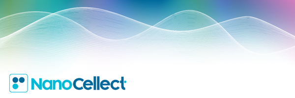 Email Headers (600 × 200 px) (5)-1