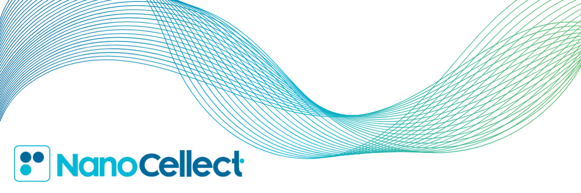 Email Headers (600 × 200 px) (7)