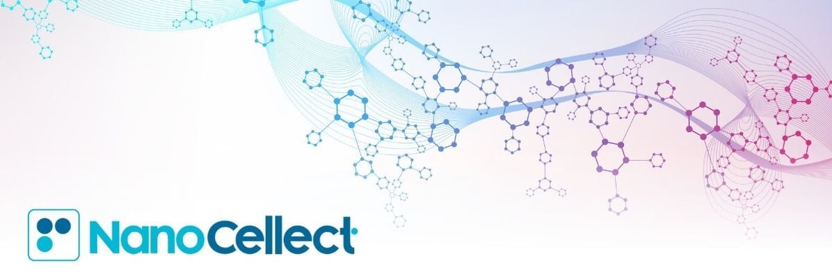 Email Headers (600 × 200 px)-2