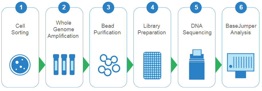 Figure 1. WOLF and ResolveDNA™ Workflow Figure 1. WOLF and ResolveDNA™ Workflow