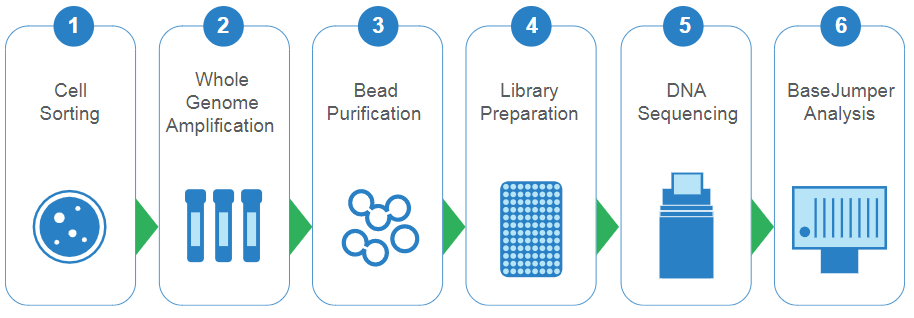 Figure 1. WOLF and ResolveDNA™ Workflow