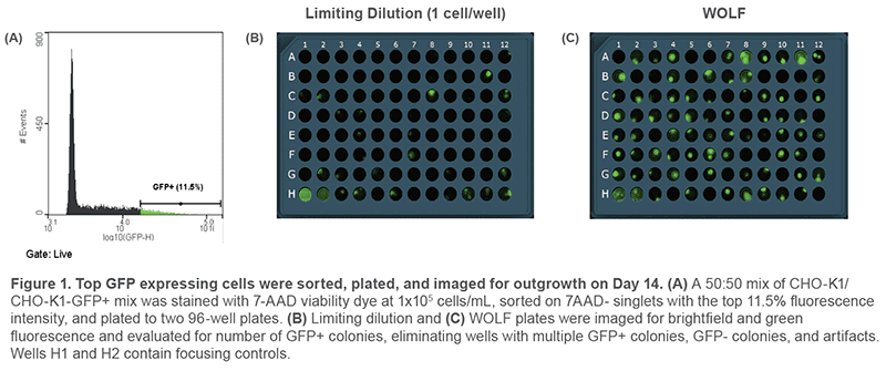 Figure-1.-Top-GFP-expressing-cells-were-sorted