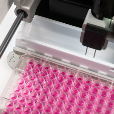 Image-Aug-14-2023-05-30-55-8265-PM