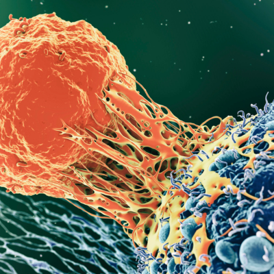 Image-Jul-07-2023-06-07-49-5066-PM