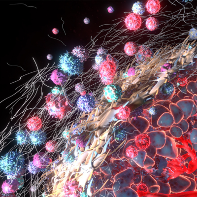 Image-May-05-2023-06-42-02-9812-PM