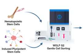 Newsletter Images (2)-1