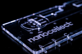 Newsletter Images-Jun-26-2024-06-19-51-9785-PM