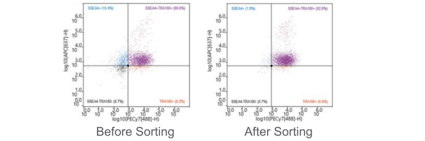 Newsletter_Banners (3)-1