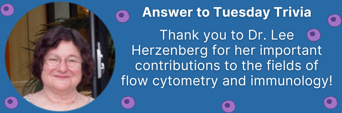 Newsletter_Banners (9)