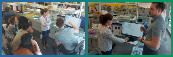 Newsletter_Banners-3