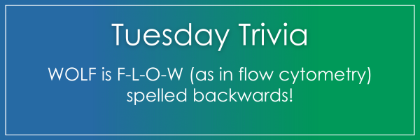 Newsletter_Banners-4