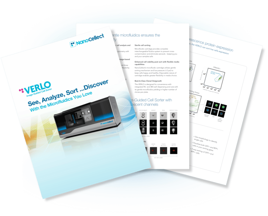 Sort what you can see. (11)