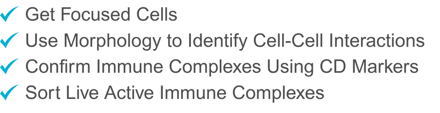 Sort what you can see. (4)