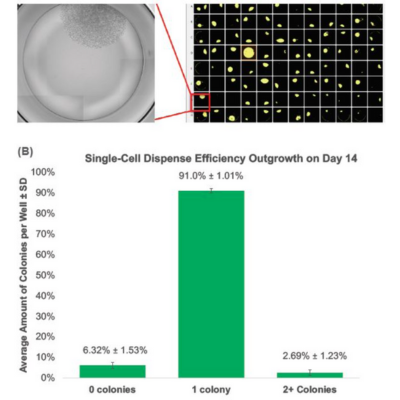 Untitled design (1)-1