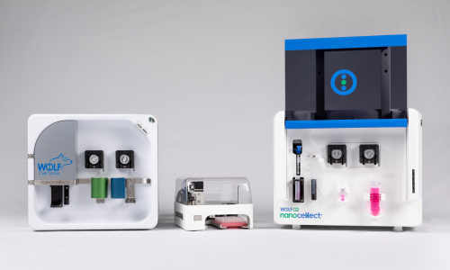 Untitled design (2)-1